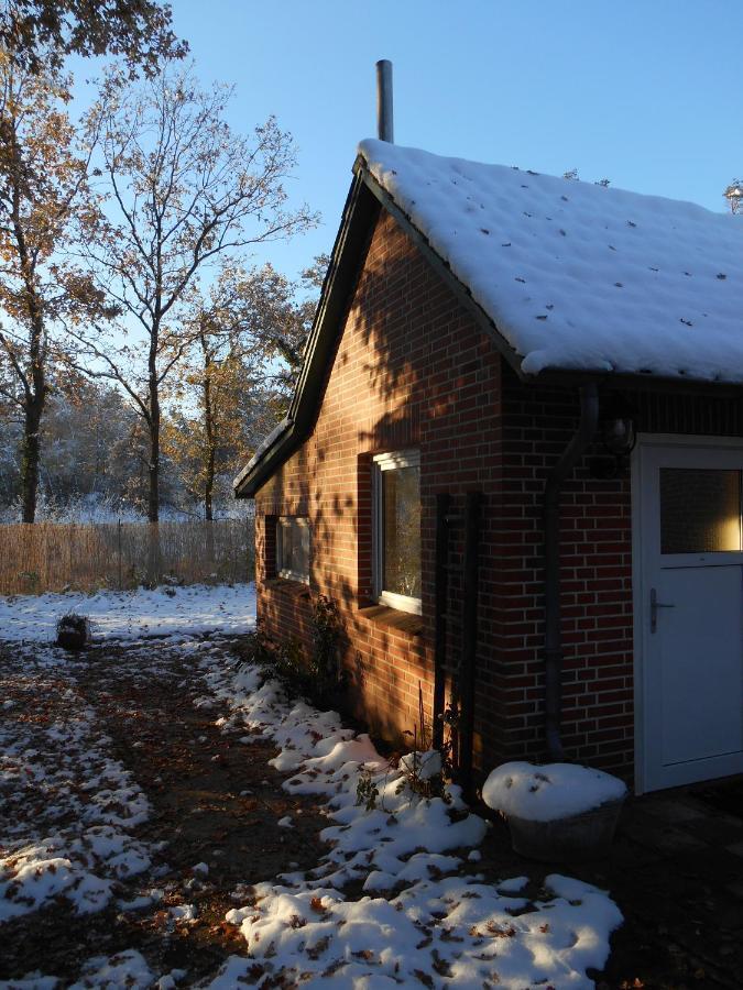 Ferienwohnung Villa Lütt Bleckede Exterior foto